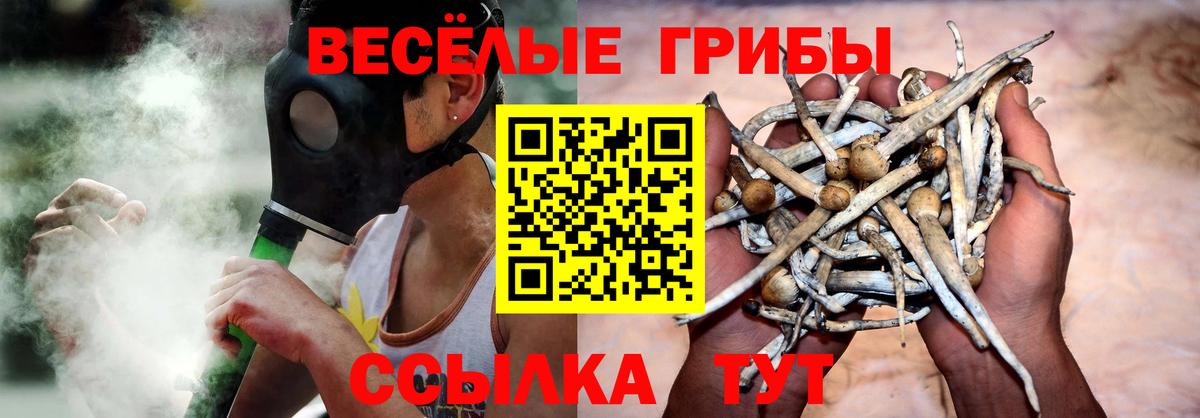 Галлюциногенные грибы Psilocybine cubensis  Вход с VPN  Кизилюрт 